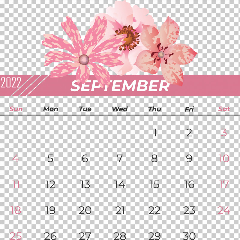 Petal Flower Pink Libre Flotación Birds PNG, Clipart, Birds, Calendar, Color, Columbidae, Drawing Free PNG Download