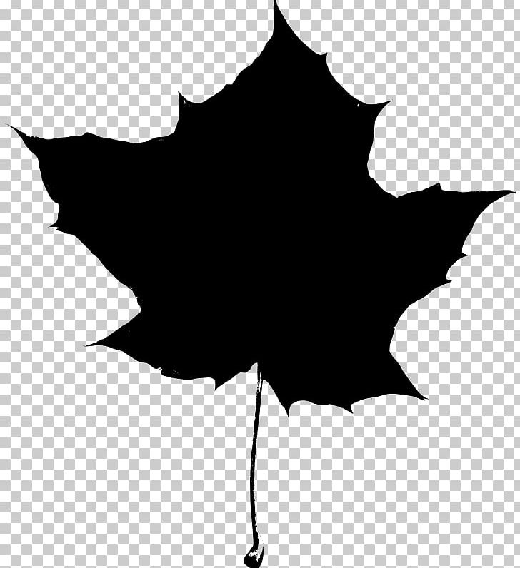 Maple Leaf Silhouette PNG, Clipart, Autumn Leaf Color, Black, Black And White, Drawing, Flowering Plant Free PNG Download