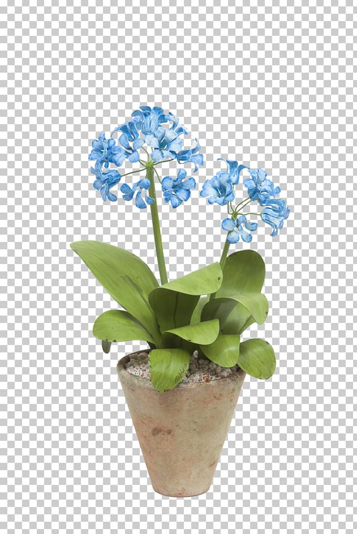 Harvard Museum Of Natural History Cut Flowers Glass Flowers Flowerpot PNG, Clipart, Artificial Flower, Art Museum, Blue, Cambridge, Cut Flowers Free PNG Download