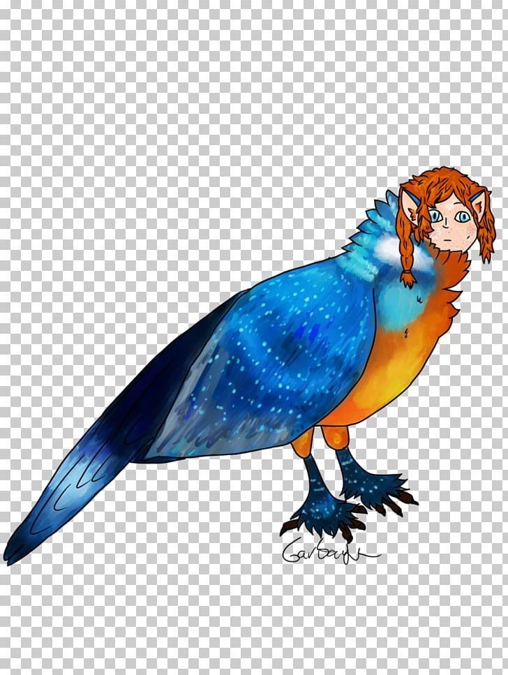 Parrot Bird Macaw Pet Feather PNG, Clipart, Animal, Animals, Beak, Bird, Blue Free PNG Download