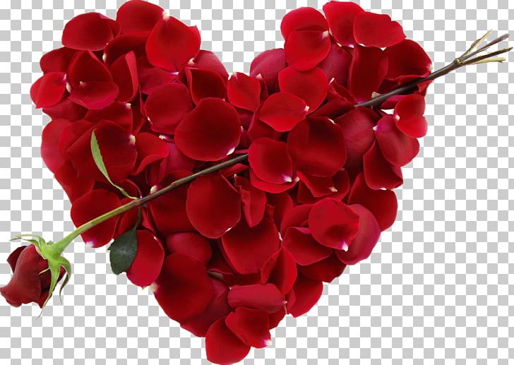 Valentine's Day Flower Bouquet Floral Design Rose PNG, Clipart,  Free PNG Download