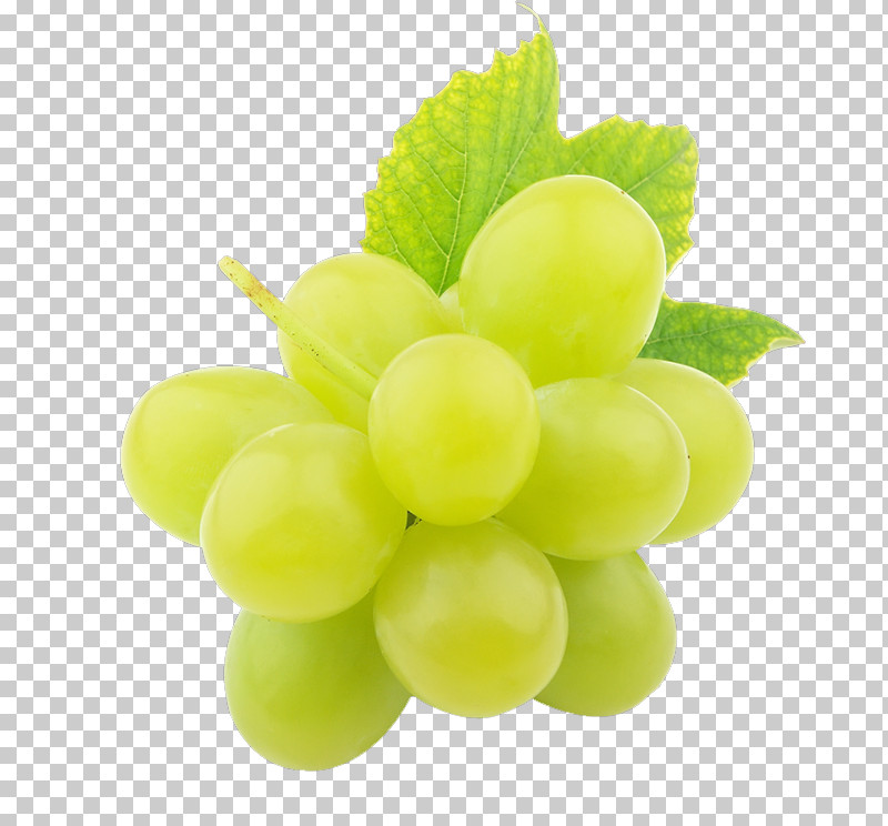 Grape Seedless Fruit Grapevine Family Green Fruit PNG, Clipart, Fruit, Grape, Grapevine Family, Green, Leaf Free PNG Download