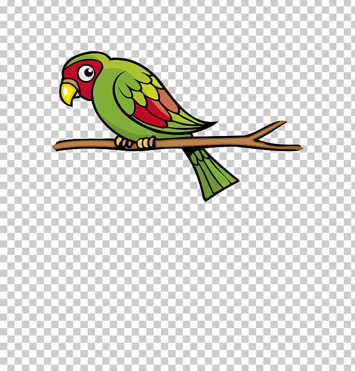Budgerigar Parrot Bird Beak Macaw PNG, Clipart, Animals, Artwork, Background Green, Balloon Cartoon, Beak Free PNG Download