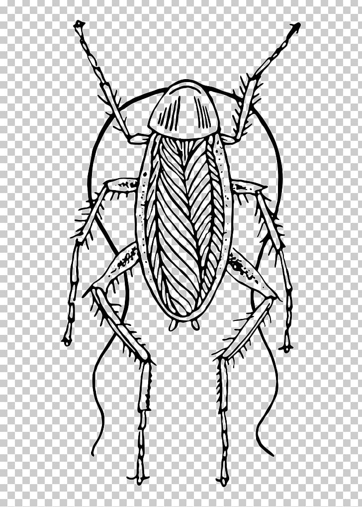 Cockroach Not Fit For Human Consumption: A Comedic Farce Drawing PNG, Clipart, Animals, Artwork, Black And White, Cockroach, Drawing Free PNG Download