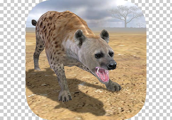 Hyena Life Simulator 3D Homeless Cat Simulator Junkyard Dogs Android Google Play PNG, Clipart, Android, Animals, Bulldog On Skateboard, Carnivoran, Fauna Free PNG Download