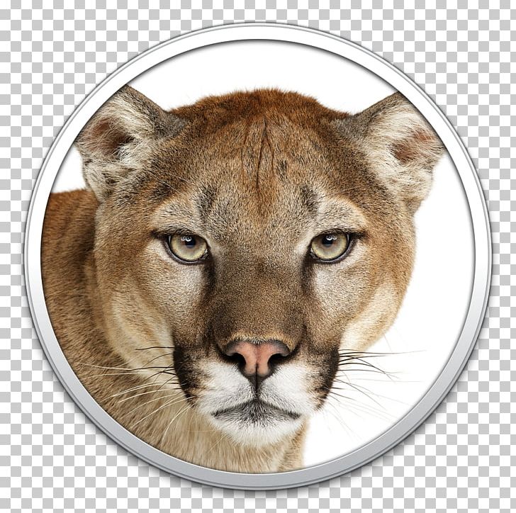 OS X Mountain Lion MacOS Mac OS X Lion Apple PNG, Clipart, Big Cats, Carnivoran, Cat Like Mammal, Fruit Nut, Head Free PNG Download