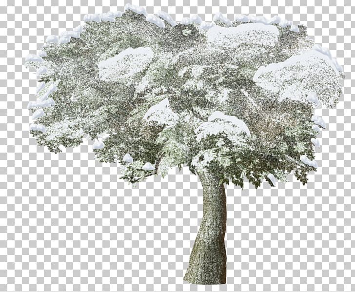 photoshop winterlandschaft clipart