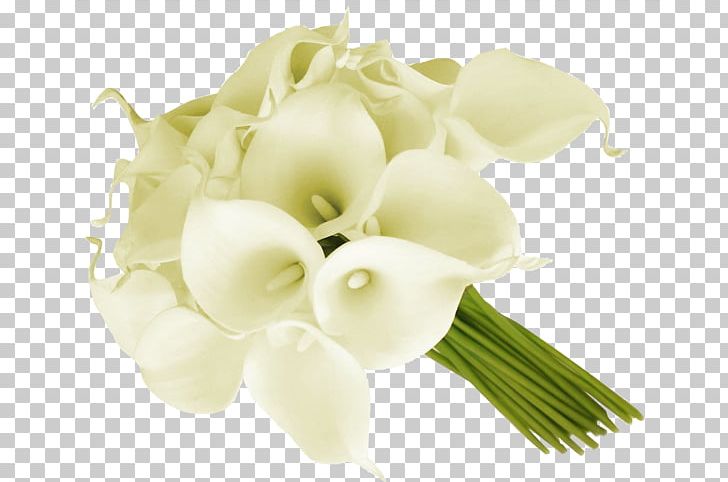Arum-lily Flower Bouquet Cut Flowers Floral Design PNG, Clipart, Artificial Flower, Arum Lily, Arumlily, Bride, Callalily Free PNG Download