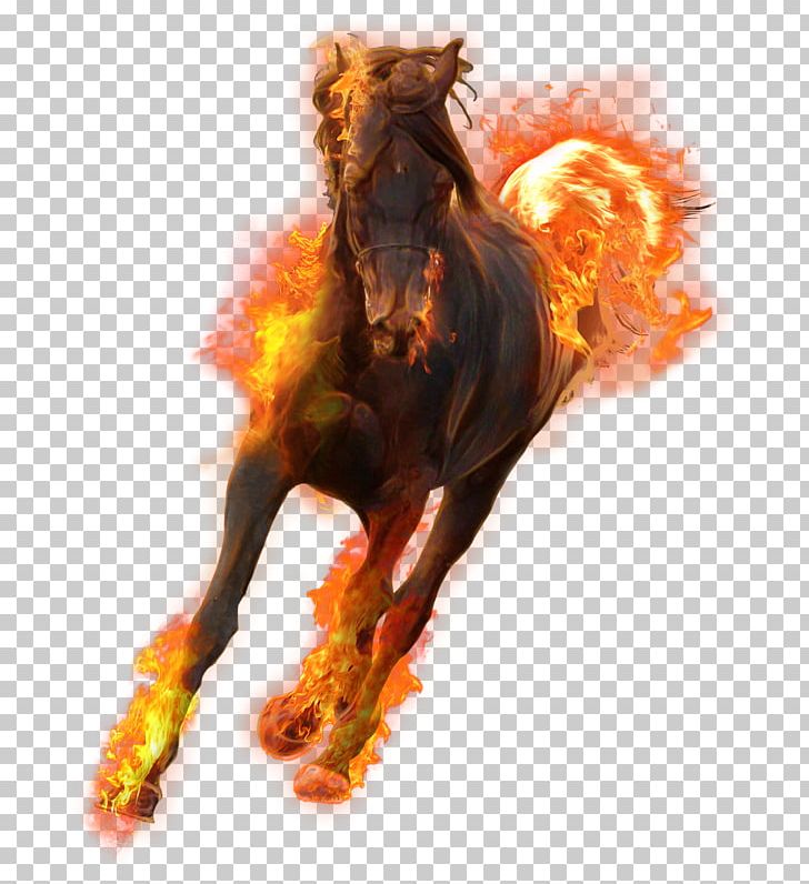 Stallion Desktop PNG, Clipart, Computer Wallpaper, Desktop Wallpaper, Download, Fire, Fire Flame Free PNG Download