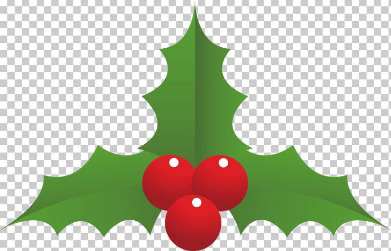 Christmas Decoration PNG, Clipart, American Holly, Christmas Decoration, Christmas Tree, Evergreen, Holly Free PNG Download