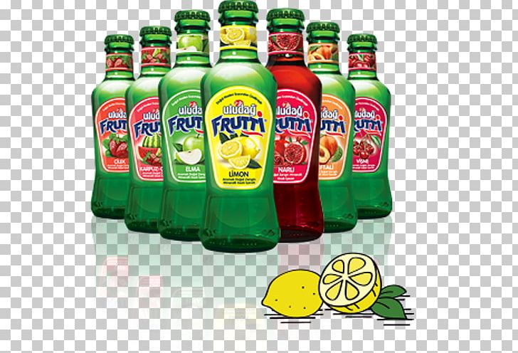 Fizzy Drinks Carbonated Water Juice Coca-Cola PNG, Clipart, Bottle, Carbonated Water, Cocacola, Cola, Doner Kebab Free PNG Download