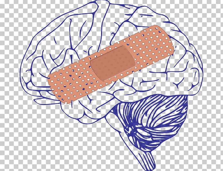 Human Brain Drawing Computer Icons PNG, Clipart, Animation, Art, Brain, Computer Icons, Download Free PNG Download