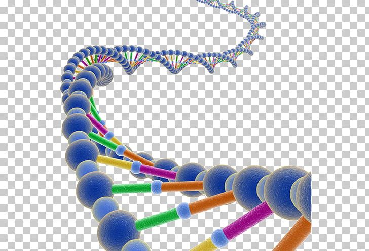 The Double Helix: A Personal Account Of The Discovery Of The Structure Of DNA Nucleic Acid Double Helix Adenine Guanine PNG, Clipart, Base Pair, Blue, Body Jewelry, Chain, Chain Gene Free PNG Download