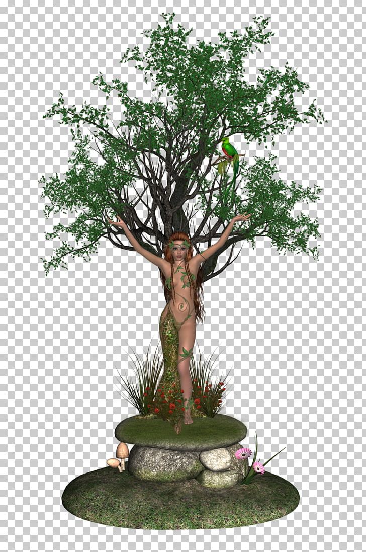 Juice Lab Cannes Tree Bonsai PNG, Clipart, Art, Bonsai, Computer, Computer Icons, Dryad Free PNG Download
