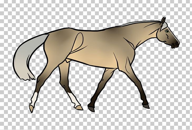 Mule Foal Stallion Mare Mustang PNG, Clipart,  Free PNG Download