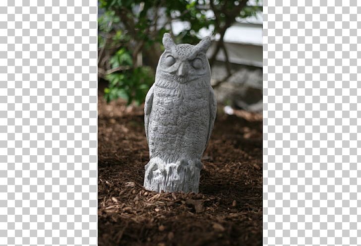 Owl Garden Ornament Concrete Statue Sculpture PNG, Clipart, Beak, Bird, Bird Of Prey, Cast Stone, Cement Free PNG Download
