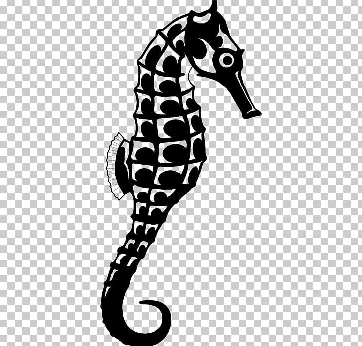 Seahorse Animal Phonograph Record White Orange PNG, Clipart, Animal, Animals, Black, Black And White, Blue Free PNG Download