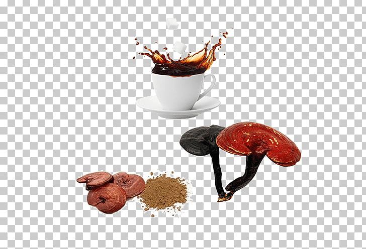 Coffee Lingzhi Mushroom Disease Therapy Cancer PNG, Clipart, Antihistamine, Asthma, Cancer, Coffee, Coffee Cup Free PNG Download
