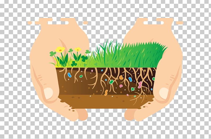 Lawn Dinosaur Planet Pest Control Weed PNG, Clipart, Commodity, Dinosaur Planet, Food, Grass, Grass Family Free PNG Download