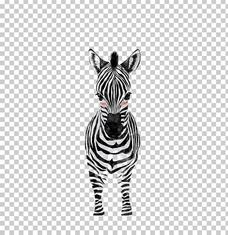 Nursery Infant Art Room Zebra PNG, Clipart, Animal, Animals, Bedroom, Black And White, Canvas Free PNG Download