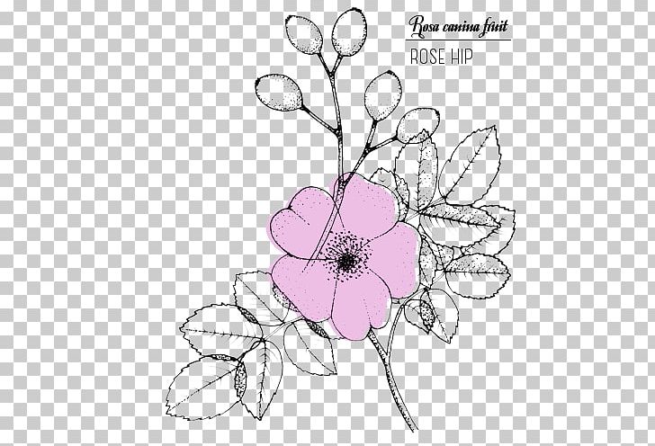 Floral Design Drawing Line Art Rose Sketch PNG, Clipart, Area, Art, Arts, Artwork, Black And White Free PNG Download