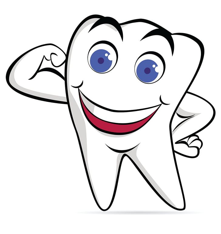 Human Tooth Cartoon PNG, Clipart, Art, Bone, Cheek, Deciduous Teeth,  Dentistry Free PNG Download