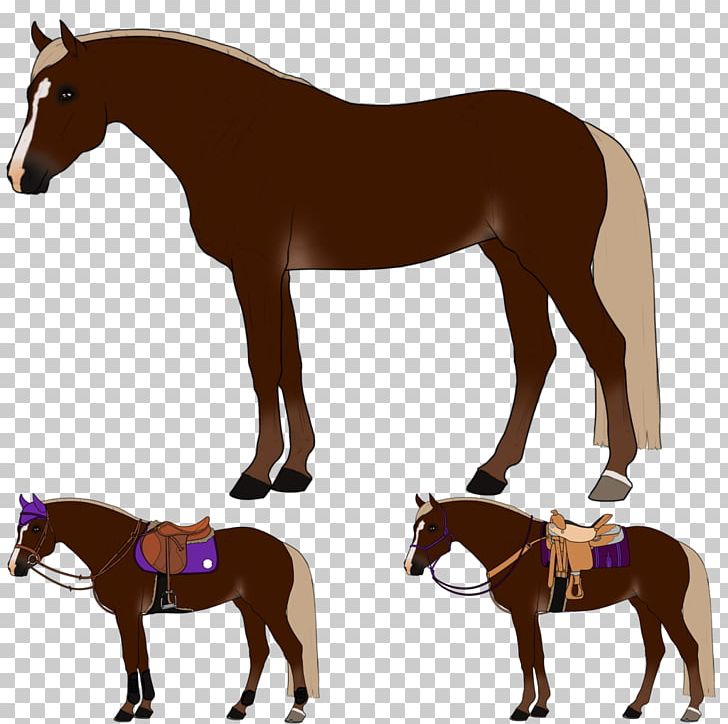 Mustang Foal Stallion Colt Rein PNG, Clipart, Animal Figure, Bridle, Colt, Equestrian Sport, Foal Free PNG Download