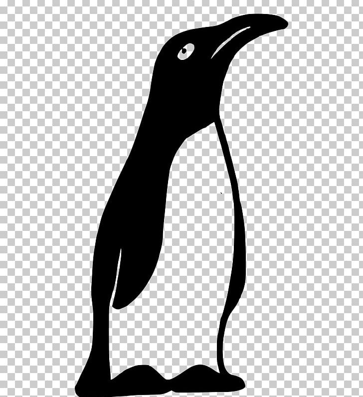 Penguin PNG, Clipart, Art, Beak, Bird, Black And White, Computer Icons Free PNG Download