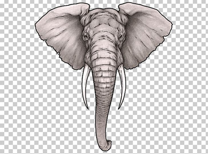 125 Cool Elephant Tattoo Designs  Deep Meaning and Symbolism