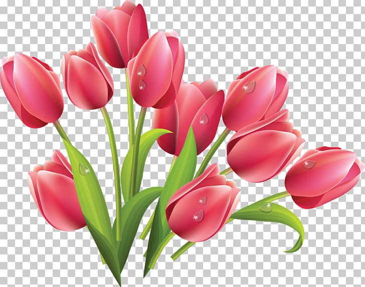 Tulip Graphics Flower Bouquet PNG, Clipart, Cartoon, Ceramic Tile, Cut Flowers, Drawing, Floral Design Free PNG Download