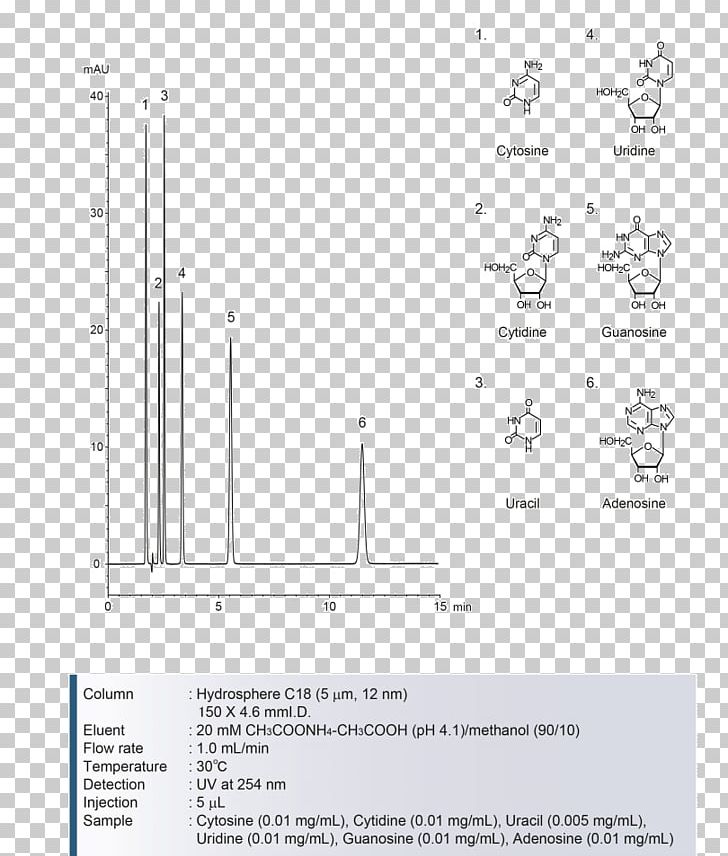 Paper Area Angle PNG, Clipart, Angle, Area, Diagram, Line, Paper Free PNG Download