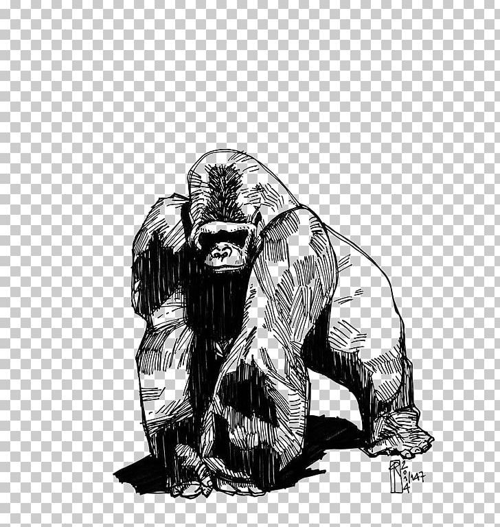 Western Gorilla Tattoo Phaeleh @ Gorilla Drawing Groovanometry PNG, Clipart, Animal, Animals, Art, Black, Comics Artist Free PNG Download