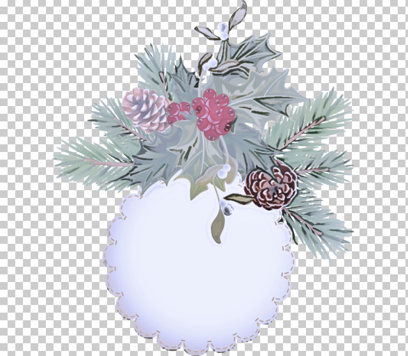 Christmas Ornament PNG, Clipart, Branch, Christmas Decoration, Christmas Ornament, Colorado Spruce, Conifer Free PNG Download