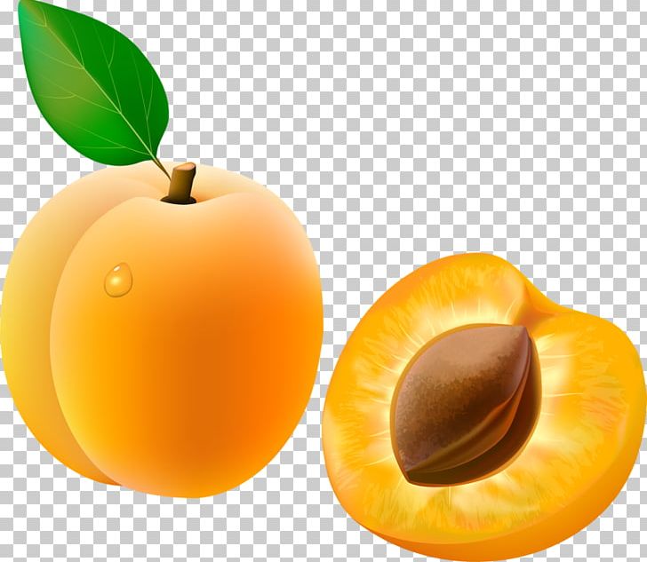 Apricot Fruit PNG, Clipart, Apple, Apricot, Apricot Vector, Auglis, Diet Food Free PNG Download