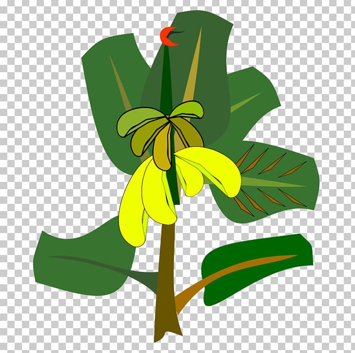 Banana Tree PNG, Clipart, Banana, Banana Leaf, Banana Tree, Blood Banana, Cartoon Free PNG Download