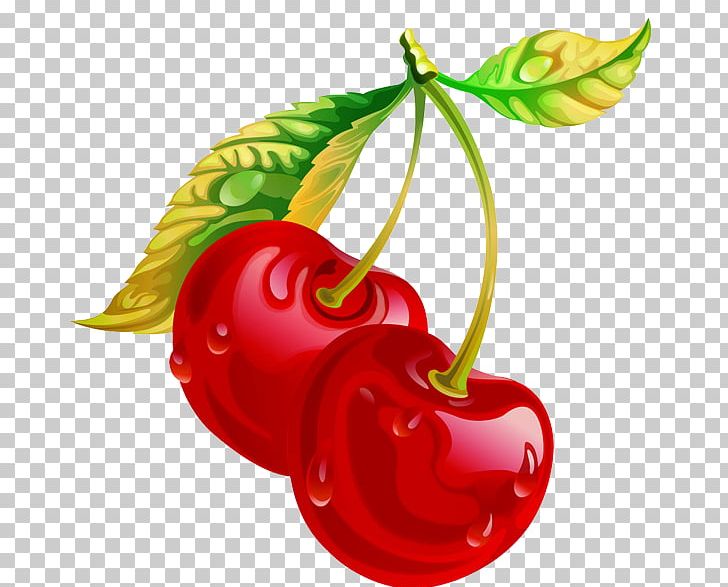 Child Vegetable Cherry Fruit PNG, Clipart, Bell Peppers And Chili Peppers, Cherry Blossom, Cherry Blossoms, Cherry Tree, Chili Pepper Free PNG Download