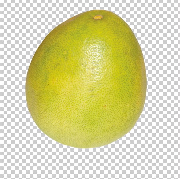 Citron Grapefruit Sweet Lemon Pomelo PNG, Clipart, Acid, Citric Acid, Citron, Citrus, Citrus Junos Free PNG Download