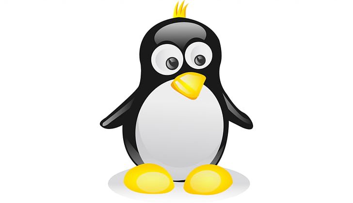 Penguin PNG, Clipart, Animals, Beak, Bird, Computer Icons, Drawing Free PNG Download