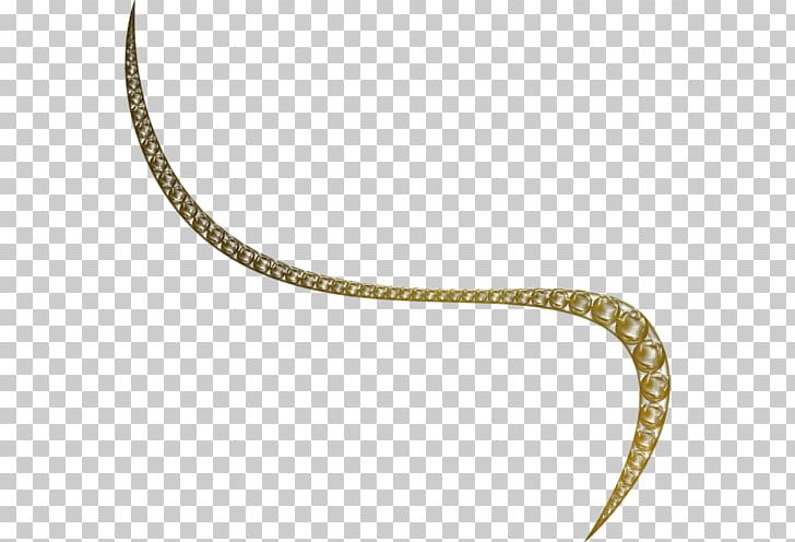 Reptile Body Jewellery Necklace PNG, Clipart, Arka Fonlar, Body Jewellery, Body Jewelry, Chain, Dekoratif Free PNG Download