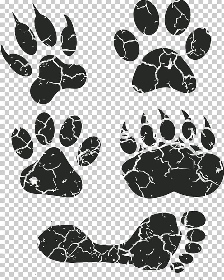 Border Collie Puppy Pet Sitting Dog Daycare Dog Walking PNG, Clipart, Animal, Animals, Animal Track, Black, Black And White Free PNG Download