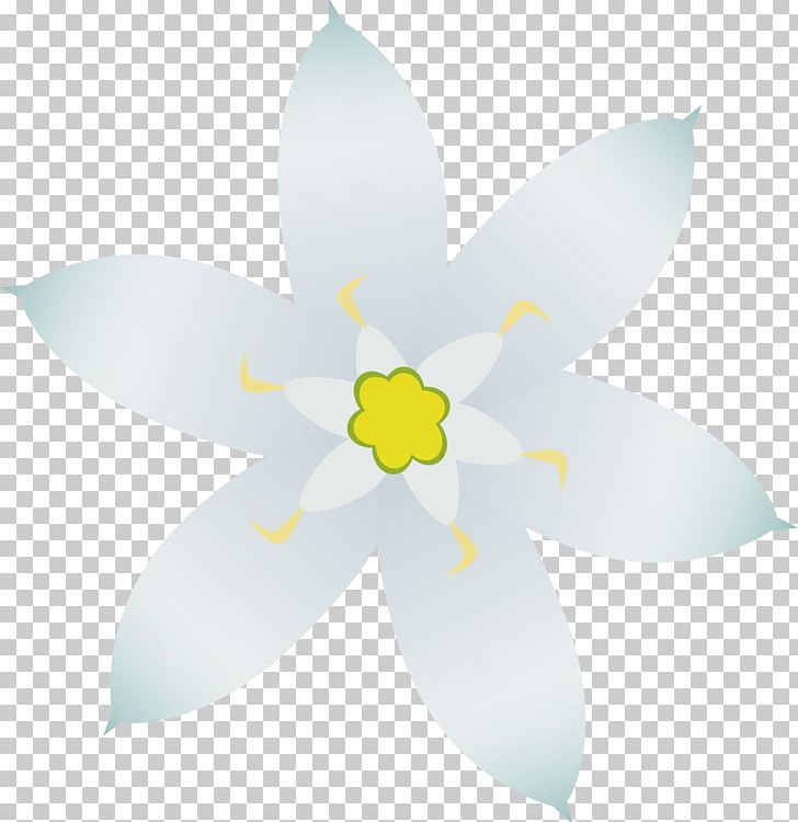 Star Of Bethlehem PNG, Clipart, Bethlehem, Byte, Flower, Flowering Plant, Libreoffice Free PNG Download