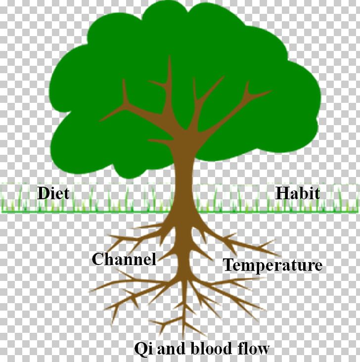 Tree Branch PNG, Clipart, Branch, Brand, Christmas Tree, Diagram, Download Free PNG Download