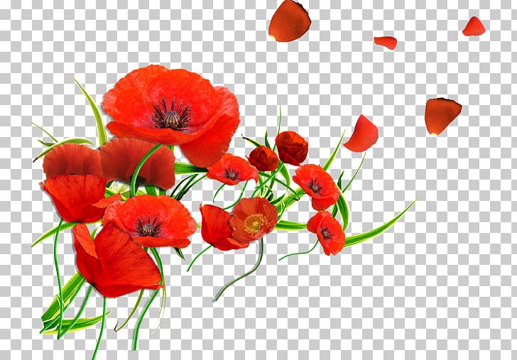 California Poppy Common Poppy Remembrance Poppy Blood Swept Lands And Seas Of Red PNG, Clipart, Annual Plant, Armistice Day, California Poppy, Coquelicot, Desktop Wallpaper Free PNG Download