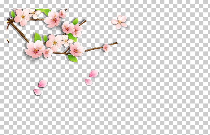 Cherry Blossom PNG, Clipart, Art, Blossom, Blue, Branch, Branches Free PNG Download
