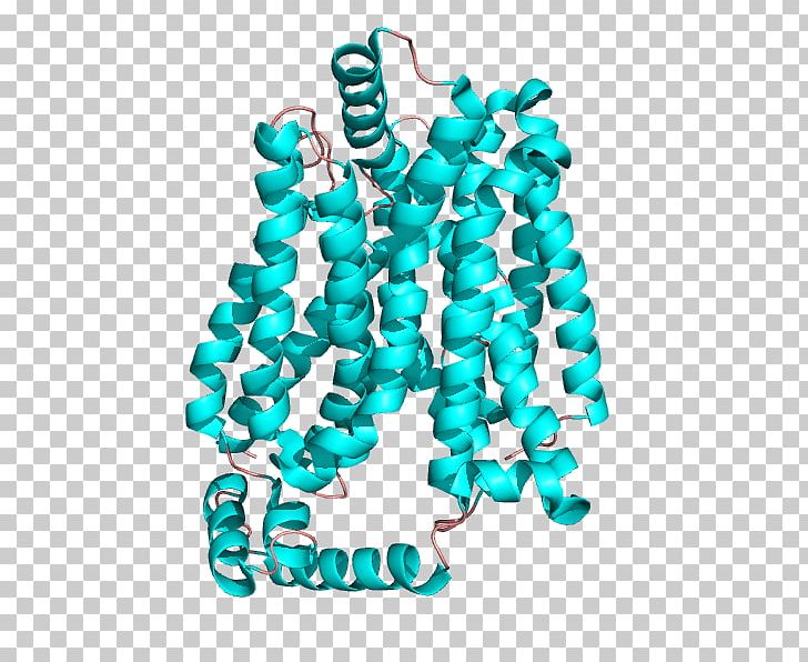 Glut1 Deficiency Glucose Transporter Glucose Uptake GLUT2 PNG, Clipart, Aqua, Body Jewelry, Cell Membrane, Fashion Accessory, Glucose Free PNG Download