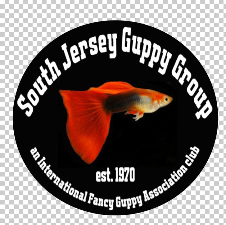 Guppy 2018 NEC Tropical Fish Convention Cichlid 0 PNG, Clipart, 2018, Animals, Aquascaping, August, Cichlid Free PNG Download