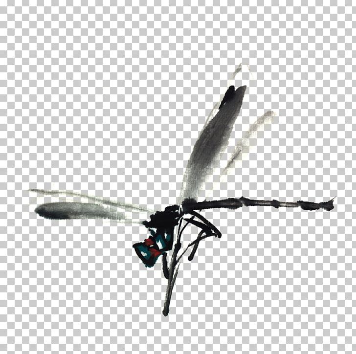 Insect Ink Wash Painting Watercolor Painting Dragonfly PNG, Clipart, Animals, Bird, Black And White, Christmas Decoration, Decoration Free PNG Download
