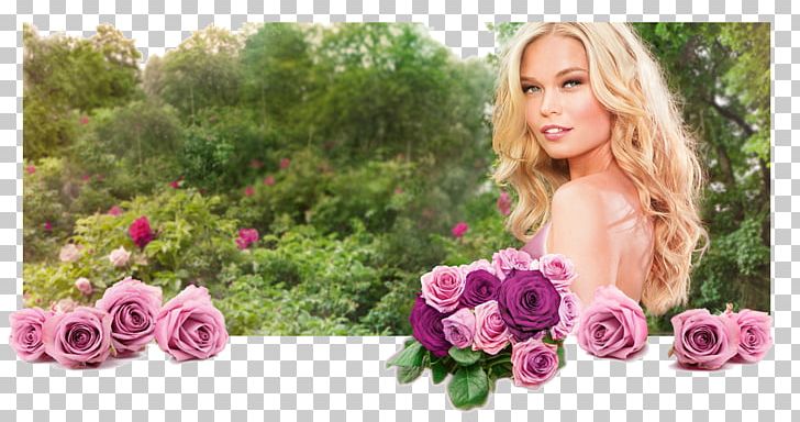 Perfumer Oriflame Cosmetics Aroma PNG, Clipart, Aroma, Beauty, Centifolia Roses, Cosmetics, Cut Flowers Free PNG Download