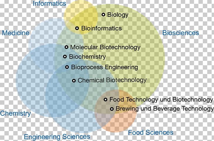 Technical University Munich Bachelor's Degree Master's Degree TUM ...