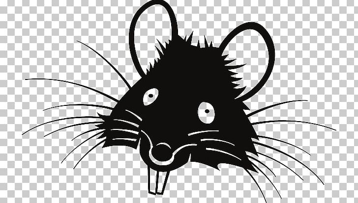 Laboratory Rat Mouse Black Rat PNG, Clipart, Animals, Bat, Black, Carnivoran, Cartoon Free PNG Download